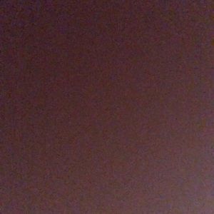 Meet your Posher, Tricia